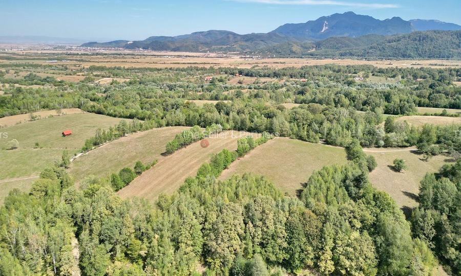 Teren intravilan, priveliste deosebita - 10