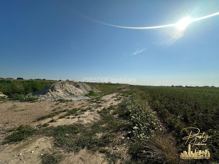 Casa la rosu si teren de 560 mp de vanzare in Tarian - Bihor  - 14