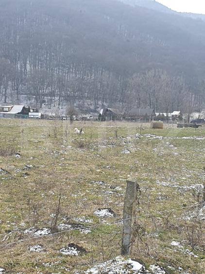 Oportunitate! TEREN INTRAVILAN CU SUPRAFATA DE 5200 MP