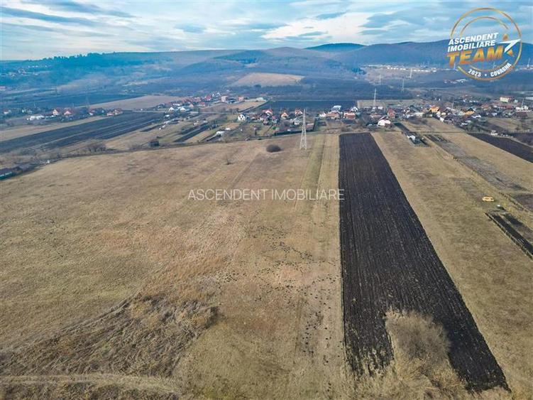 11.600 mp in Sfantu Gheorghe,deschidere: agroturism, investitie, ferma, comercia - 5
