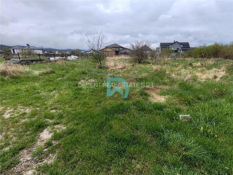 Vanzare teren Cristian - 5