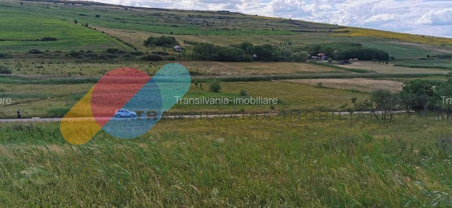 Teren intravilan 17400mp Campenesti - 5