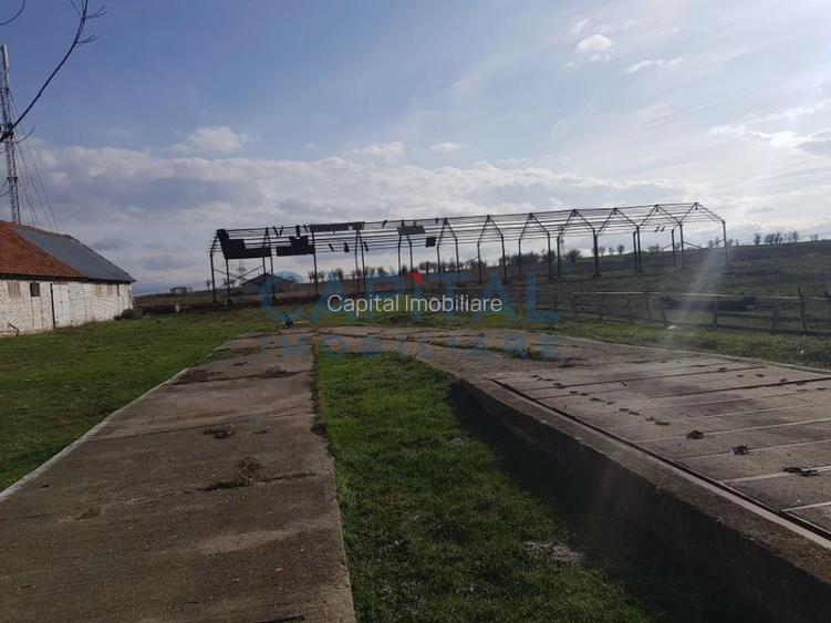 Ferma langa Oravita 5600 mp construiti si teren 24281 intravilan - 12