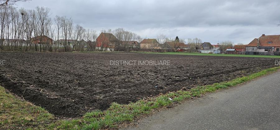 Vanzare teren de case, 3000 mp, Halchiu, - 2