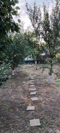 Casă locuibilă cu 1400 mp teren, vie pe rod și livadă – aproape DN3 – Ștefănești - 12