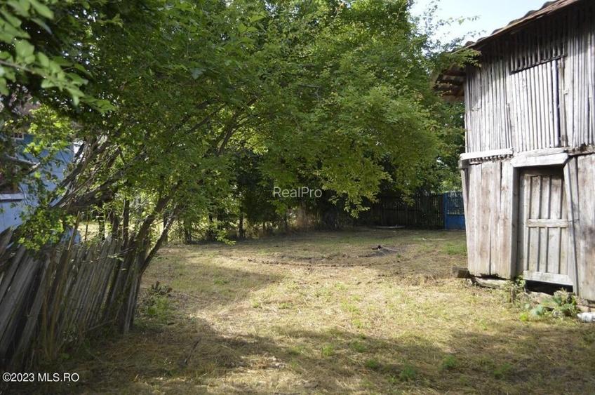 Suseni - Teren intravilan cu casa batraneasca, plan, suprafata 4700 mp! - 8