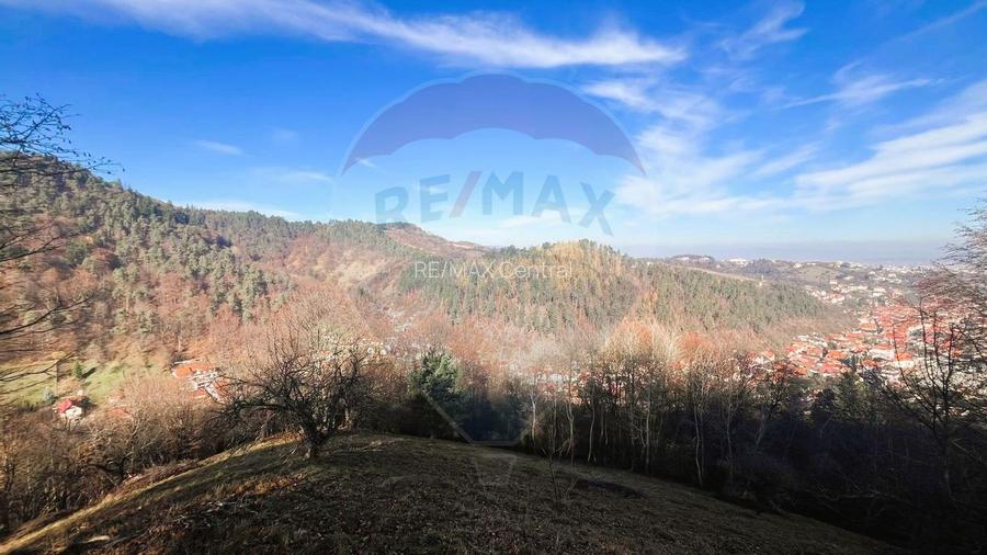 Teren Colinar Panoramic – 17.684 mp în Scheii Brașovului - 14