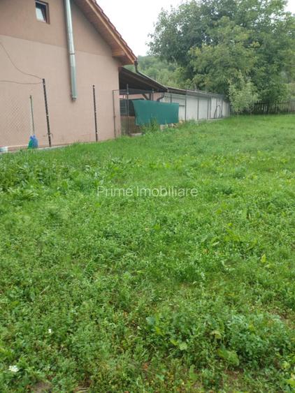 Casă individuală renovabilă | 2 camere | 1032 mp teren | La 13 km de Alba Iulia - 4