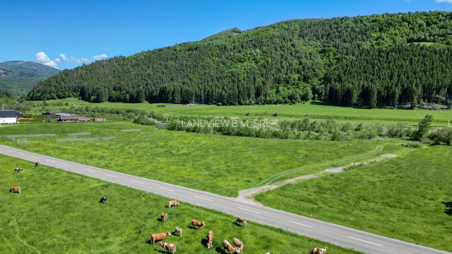 Teren intravilan In Zarnesti zona Plaiul Foii deschidere asfalt si priveliste - 3