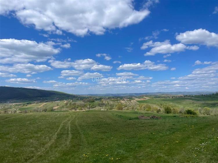 TEREN | BALNACA | 6301MP | BIHOR - 2