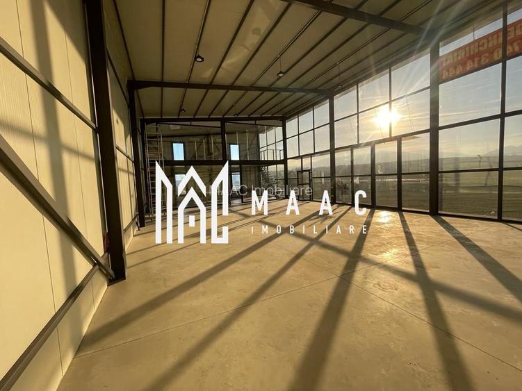 Hala | 250 MP | Teren 11.000 mp | - 8