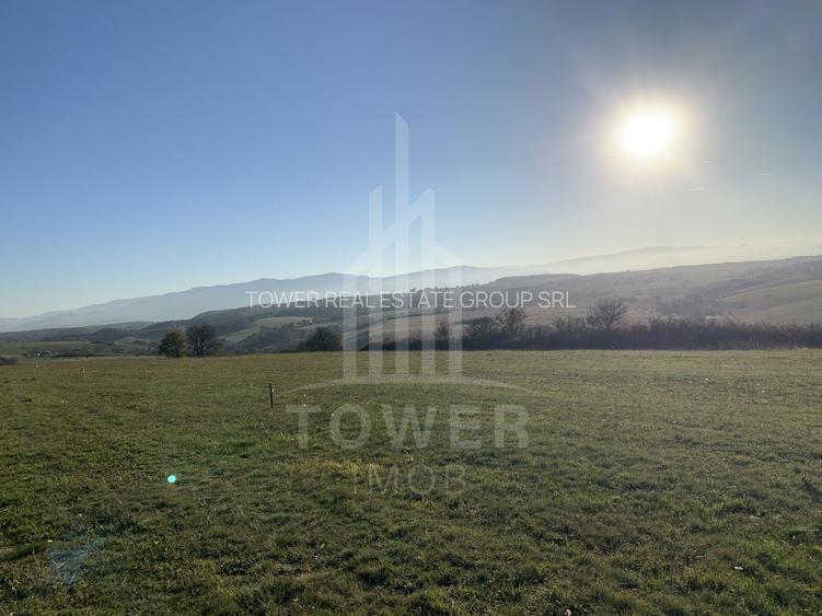 Teren pentru constructie cabana in Dealul Daii-parcele de 650 mp - 3