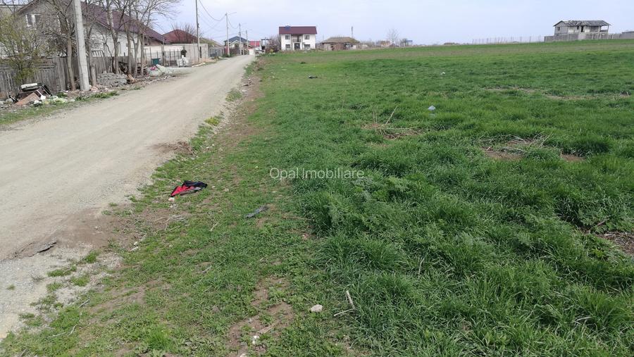 Techirghiol, teren 450mp, 20 m deschidere, str. Pericle Macri colt cu Plantelor - 5