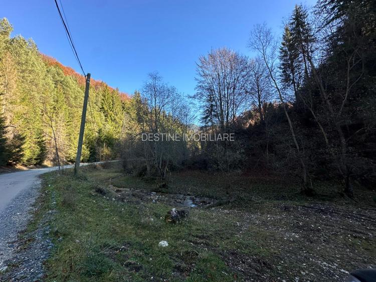 Teren 2.882 mp – oportunitate investitie - Cheile Dambovicioarei - 17