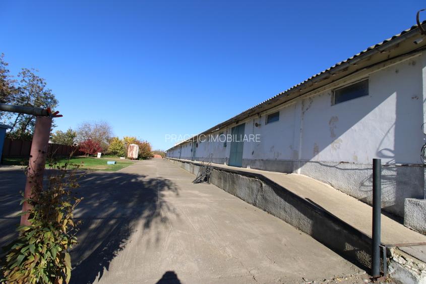 Hala in Independenta - 2