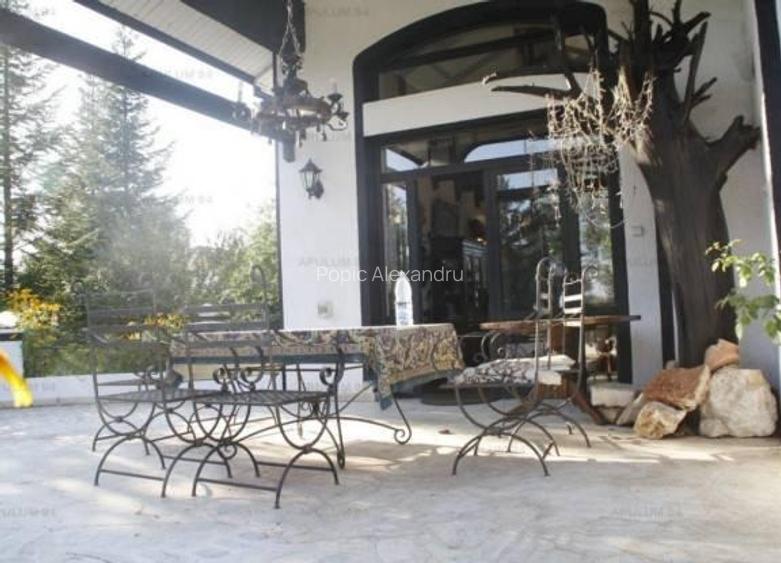 Vila Snagov-Izvorani - 11