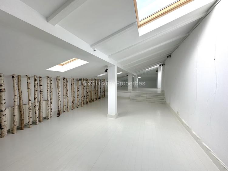 Vila  Piata Victoriei pentru resedinta Business - 5