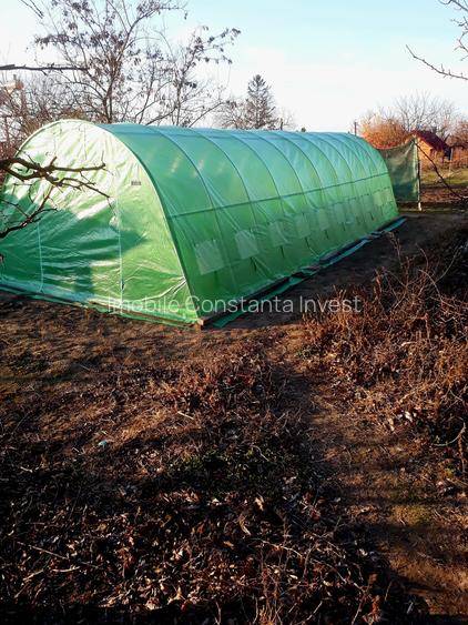 Seimenii Mari Casa 5 camere S.teren:4260 +vie+pomi fructiferi  vedere la Dunare - 5