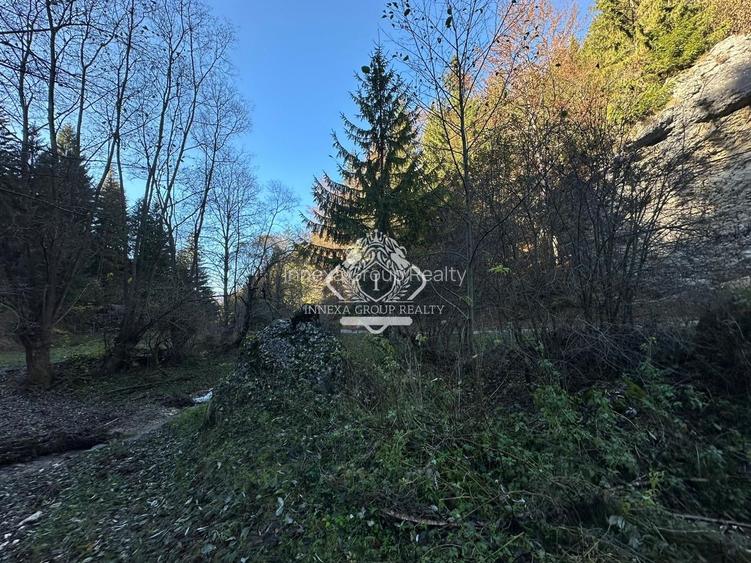 Teren 2.882 mp – oportunitate investitie - Cheile Dâmbovicioarei - 16