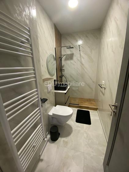 Apartament de închiriat, 2 camere, 50 mp, Horea zona UBB litere - 11