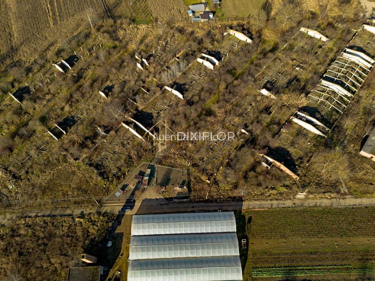 Teren intravilan | Luduș | Zonă strategică - 8