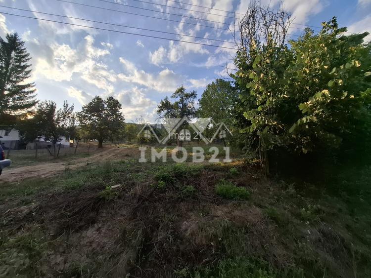 Teren spectaculos cu padure, livada si priveliste panoramica in Soimari PH - 9