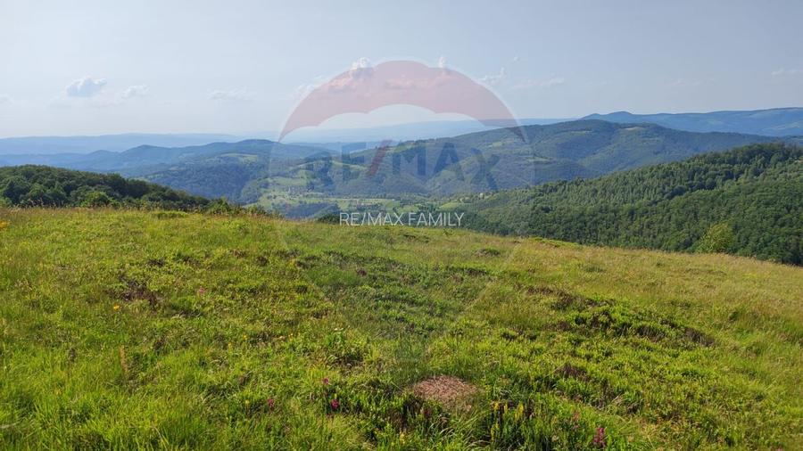 Teren 130000 mp extravilan, faneata si padure, Munteni - Bulz, Negreni - 11