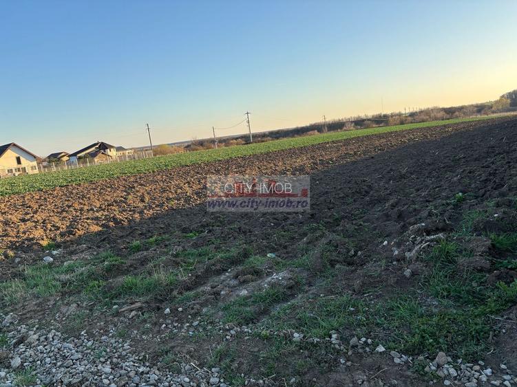 Vanzare teren constructie casa Snagov Sat Izvorani , Jud Ilfov - 5