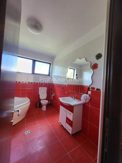Vanzare proprietate in Mogosoaia langa padure - 4