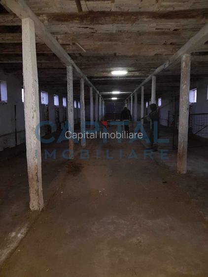 Ferma langa Oravita 5600 mp construiti si teren 24281 intravilan - 7