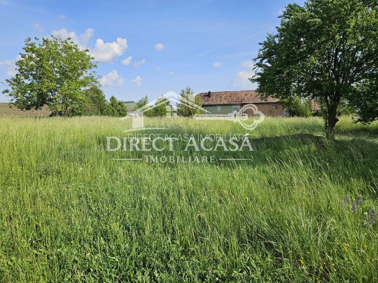 Teren intravilan 3000 mp Ernei – panorama superba, utilitati in zona - 5