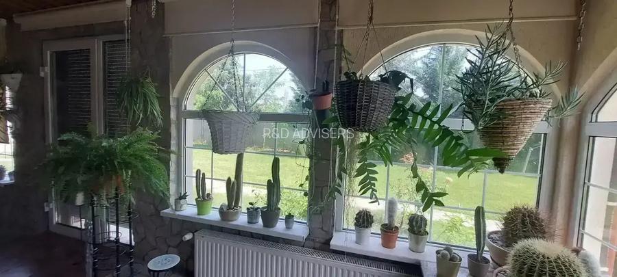 Vila cu 8 Camere Corbeanca | Semineu | Curte 2300mp | Piscina | Sauna - 3