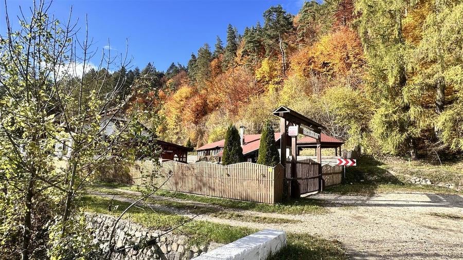 Teren intravilan cu PUZ 4000  mp -Sacele  - Bradet - 9