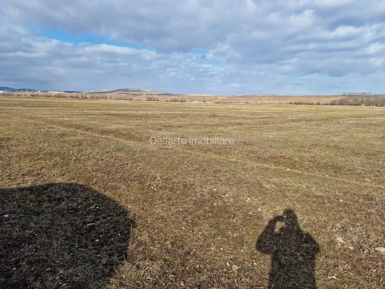 Teren intravilan 10000 mp, Piatra Neamt - 4