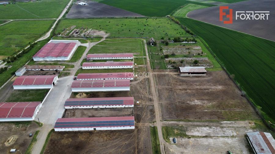 Teren intravilan cu suprafata de 58.340 mp, in Sanmartinul Sarbesc - 6