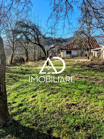 Proprietate de vanzare în Comuna Cernișoara – Sat Cernișoara, Județ Vâlcea - 9