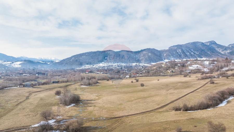 Teren Tohanul Nou 4500mp, in spate Wolf - 2