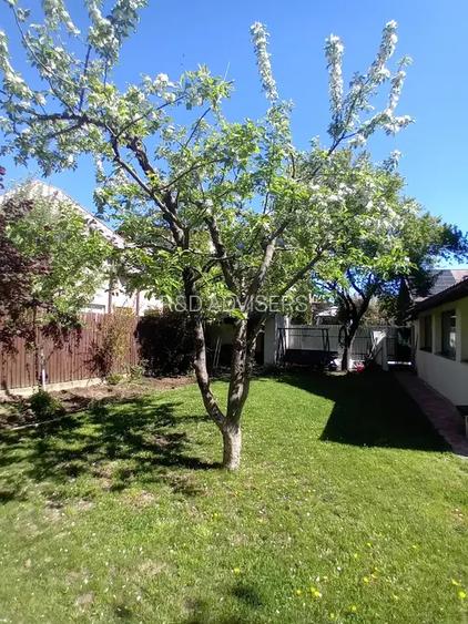 Vilă P+M | Mogoșoaia | Arhitectură austriacă | Panouri fotovoltaice - 4