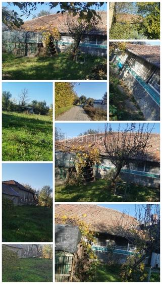 Casă batranească de vânzare situată în centrul comunei Crivăț jud Călărași  - 3