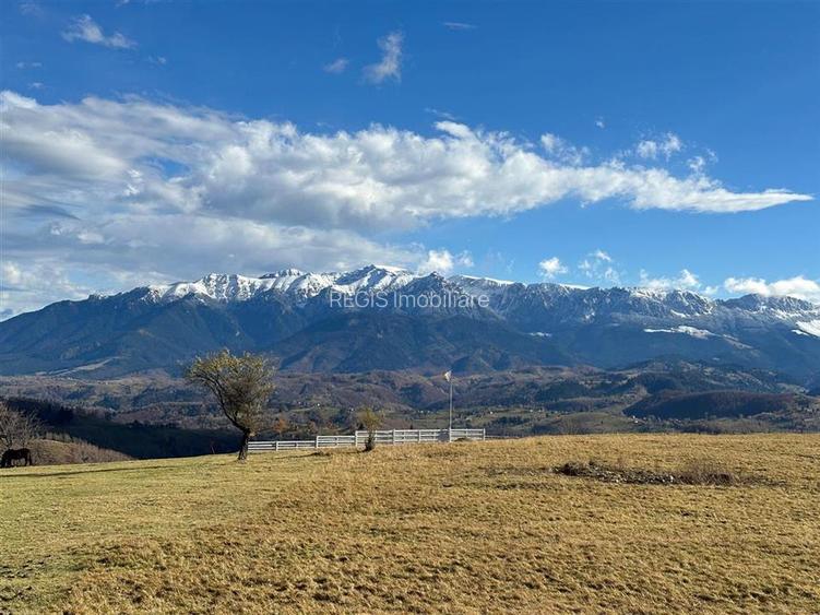 TEREN INTRAVILAN SIRNEA/ 4000 MP/ - 9