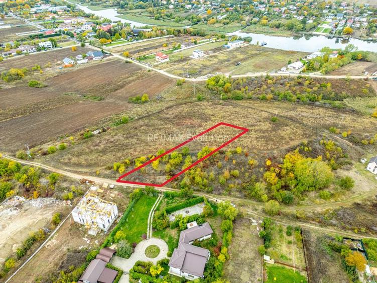 Teren 3000 mp în Snagov – zonă in dezvoltare, aproape de pădure - 3