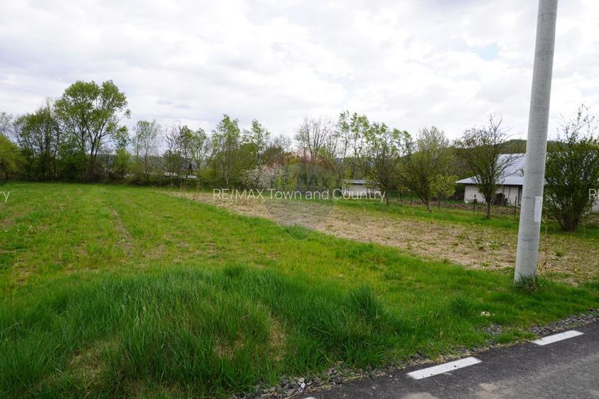 Teren Intravilan de 2.216 mp în Sarasău - 7