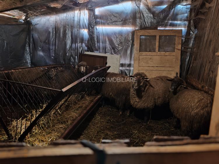 Casa 5 camere HALCHIU - SATU NOU - 31