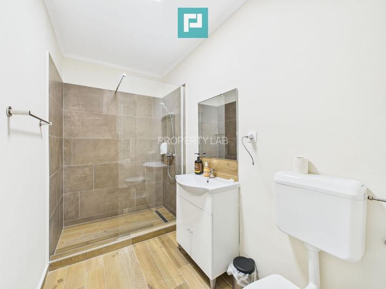 Business complet funcțional, zona Aradul Nou - 33