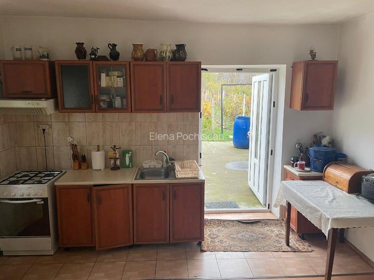 Casa 216mp cu vie si livada, 2500 mp teren – Horodistea, comuna Cotnari, Iasi - 11