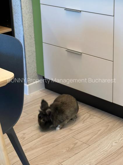 Novum Politehnica Iuliu Maniu 6R : 500+TVA = 605 EUR TVA INCLUS - 16