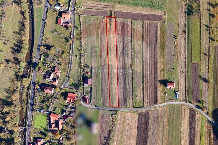 Teren extravilan Petros /  Baru ,jud Hunedoara - 4