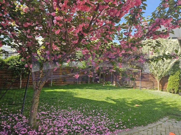VANZARE 4 CAMERE | 550 MP TEREN | CORBEANCA - 27