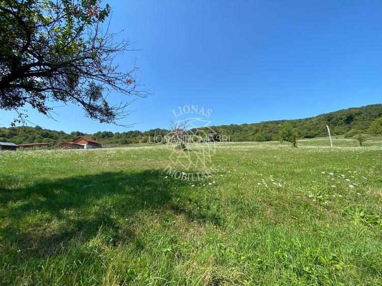 Teren 11.000 mp-ideal cabana/ferma-Unirea-Valea Slatinitei - 8