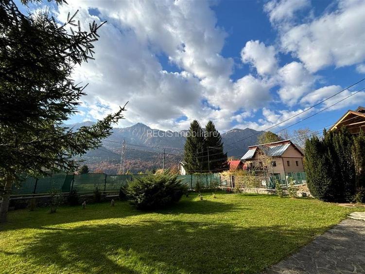 Vila Exclusivista Piatra Arsa Busteni - 18